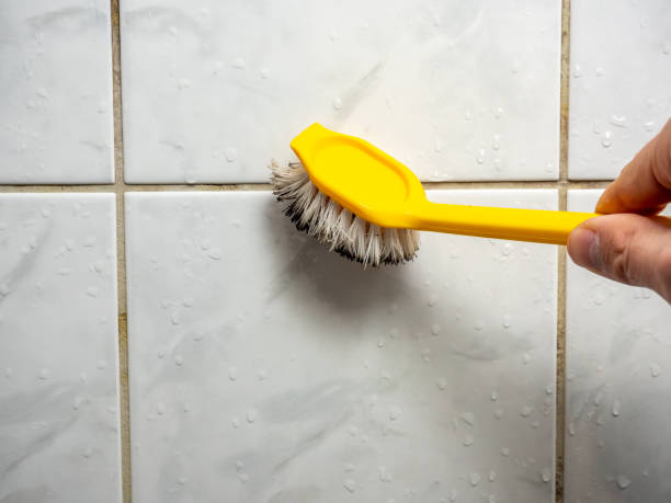 Best Mold Remediation for Schools in Aquebogue, NY