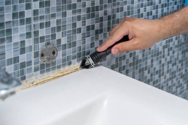 Professional Mold Remediation in Aquebogue, NY