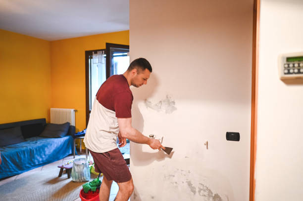 Best Attic Mold Remediation in Aquebogue, NY